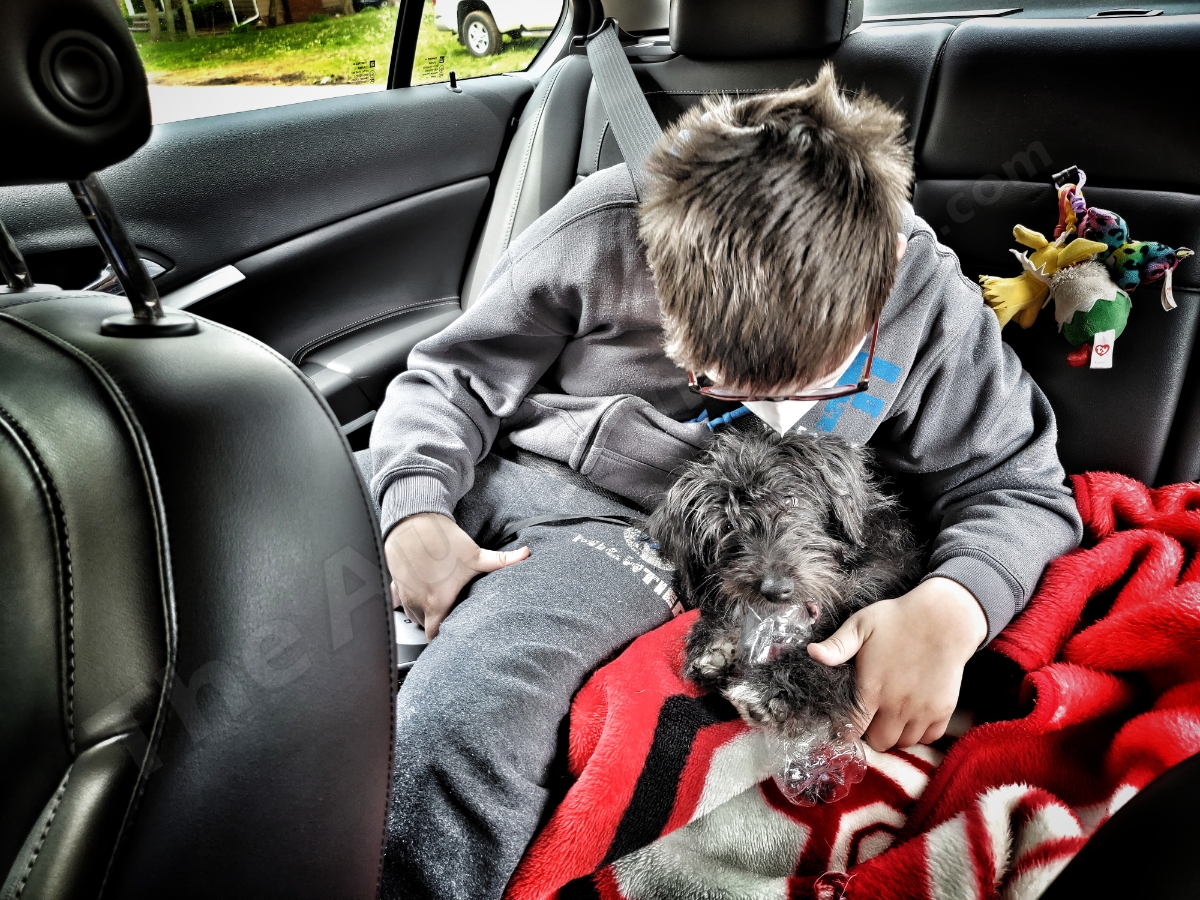 Someone went to the vet today