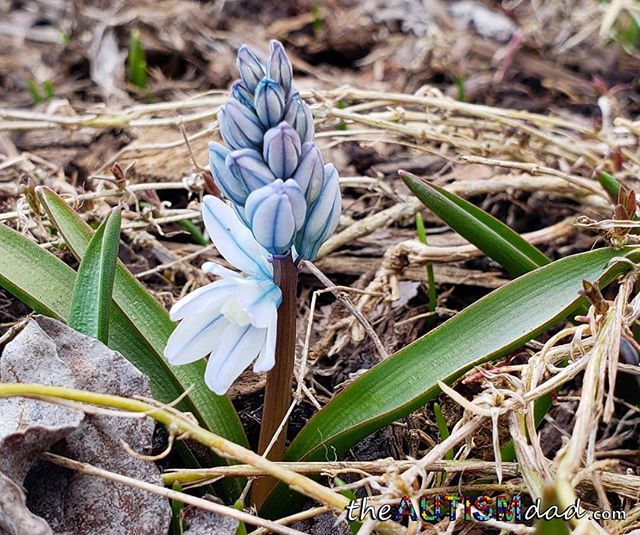 Spring feels like God's giving life a clean slate