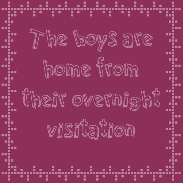 The boys are home from their overnight visitation