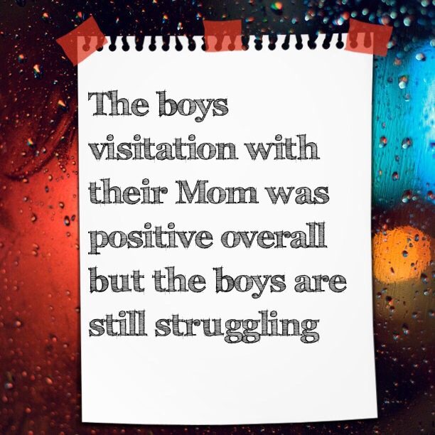 The boys visitation with their Mom was positive overall but the boys are still struggling