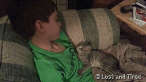 The Companions of #Autism