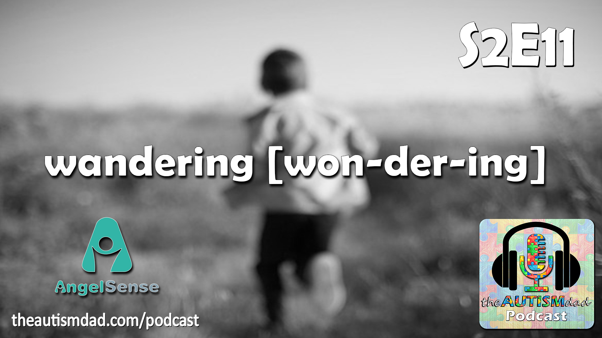 What You NEED To Know #Autism and #Wandering (S2E11)