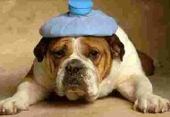 The Emotional Hangover