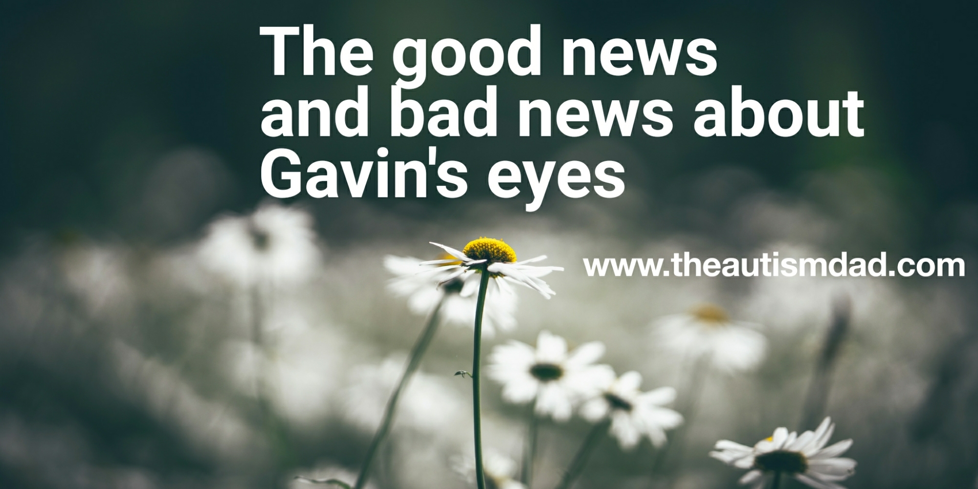 The good news and bad news about Gavin's eyes
