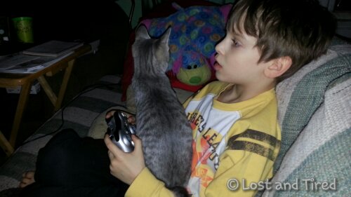 The highlight of my day