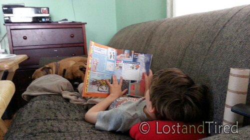 The Highlight of the month