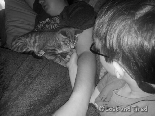 The Lighter Side of #Autism: Quiet Time