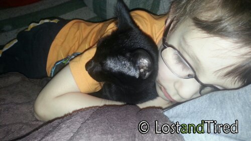 The Lighter Side of #Autism: Snuggle Buddies
