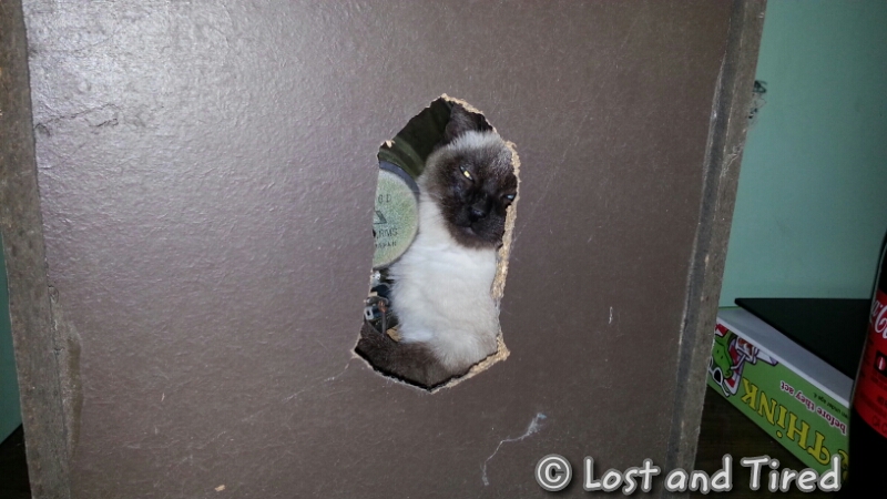 The story of Sam and Dean