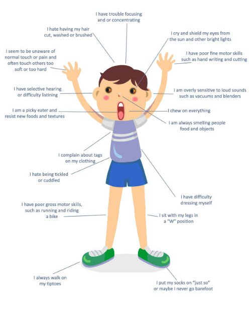 The terrible 2's again or sensory issues?