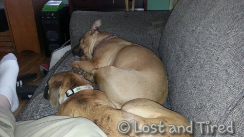 They look so innocent, don't they