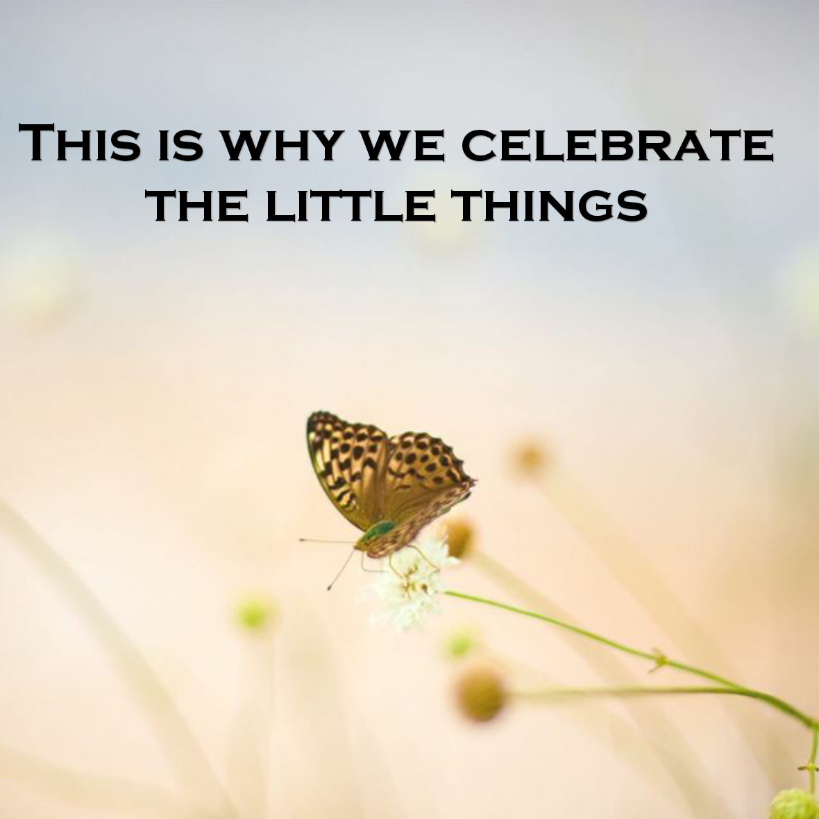 This is why we celebrate the little things