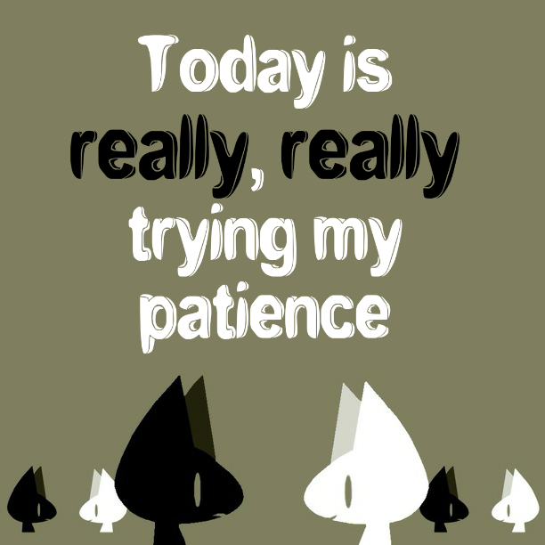 Today is really, really trying my patience