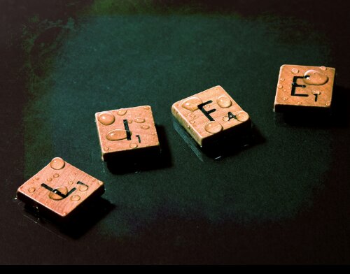 Today's Victory: 4 out of 5 ain't bad