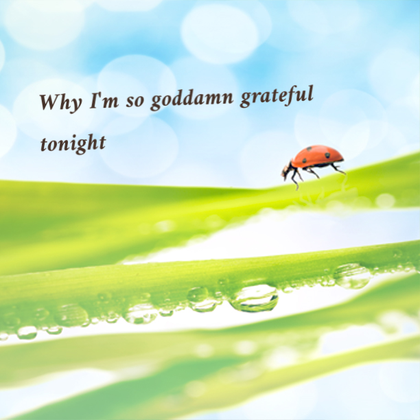 Want to know why I'm so goddamn grateful tonight?