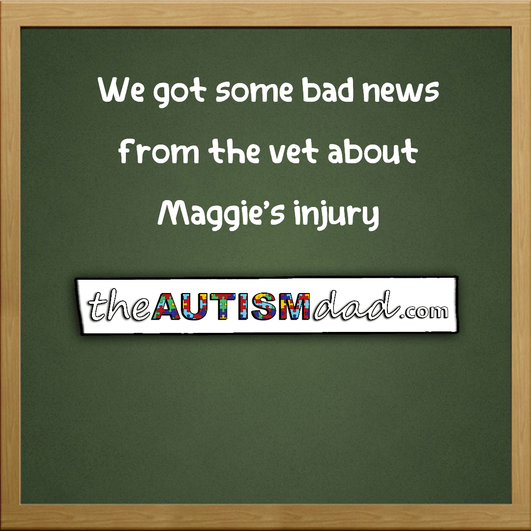 We got some bad news from the vet about Maggie's injury