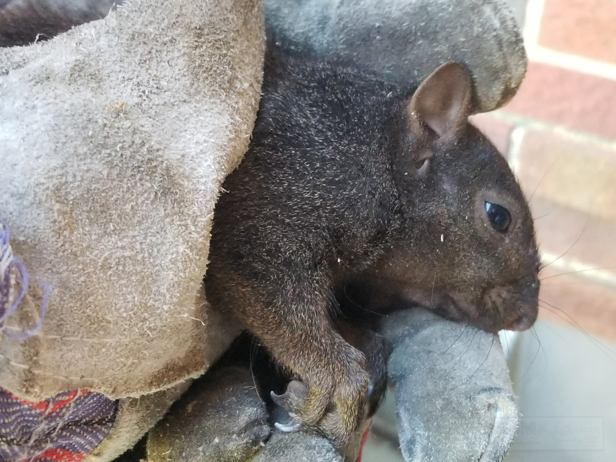 We had a heartbreaking start to the day