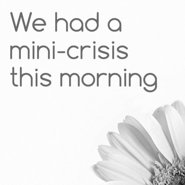 We had a mini-crisis this morning