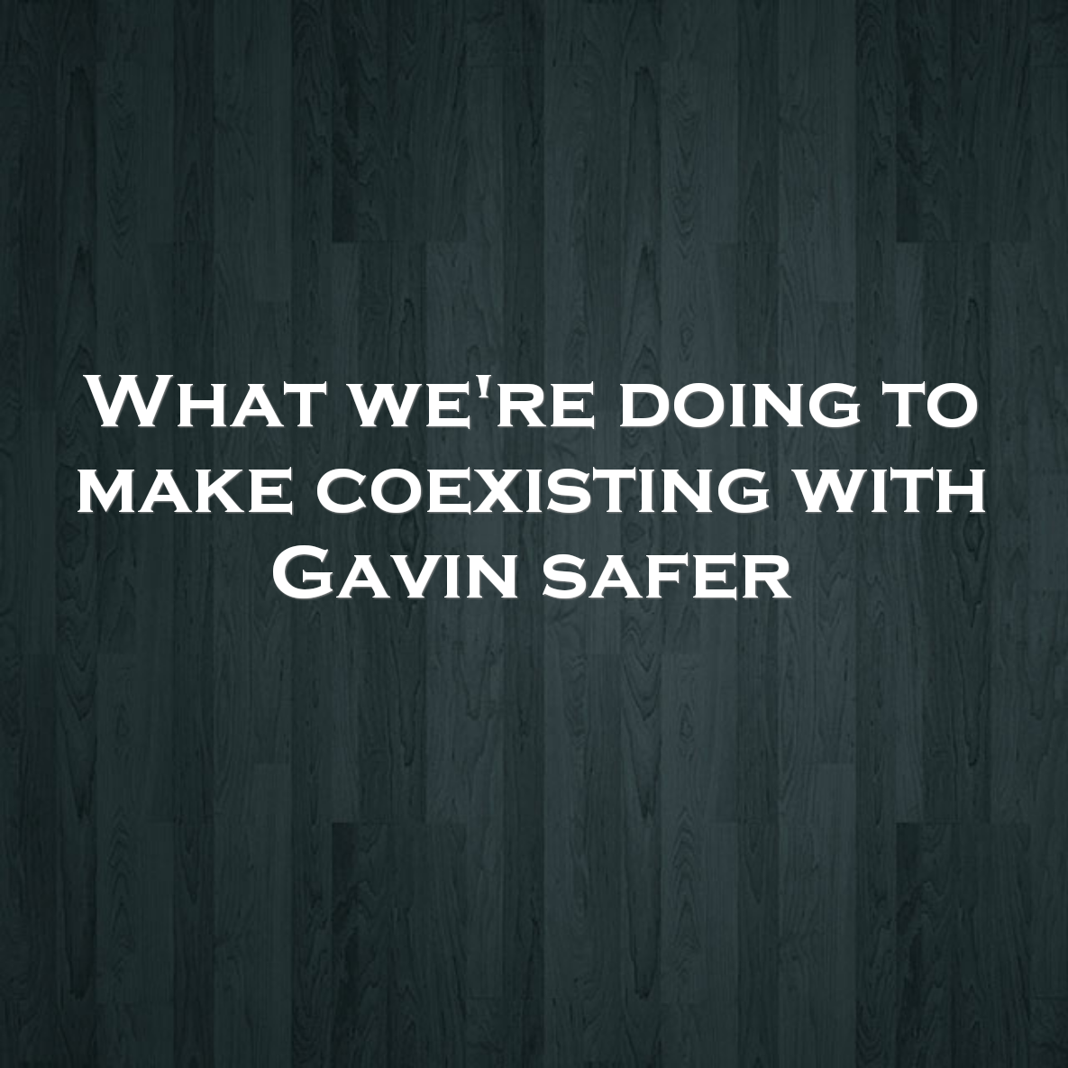What we're doing to make coexisting with Gavin safer