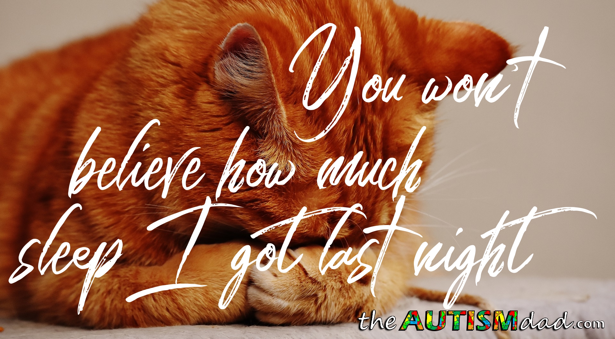 You won't believe how much sleep I got last night